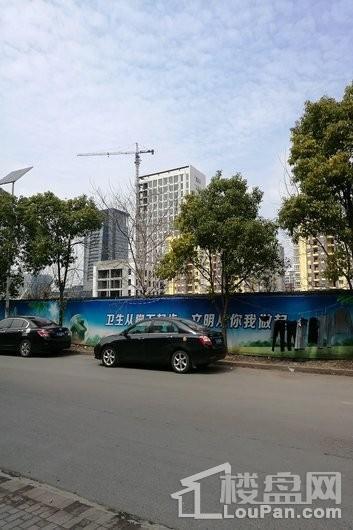 翡翠绿洲实景图