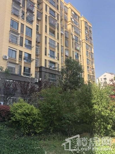 裕隆雅居实景图